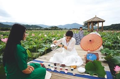 普洱茶