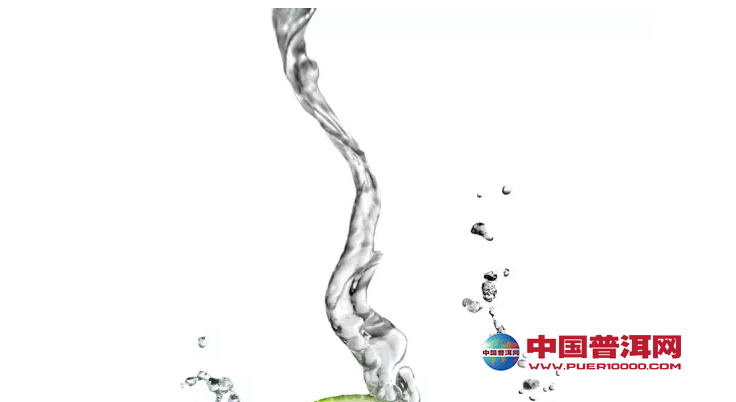 普洱茶