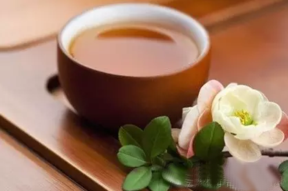 普洱茶
