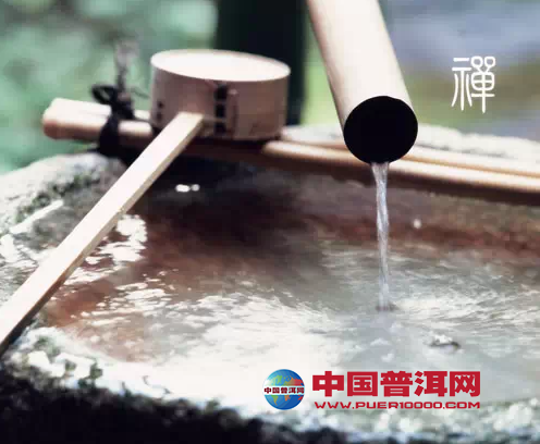 普洱茶