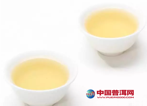 普洱茶