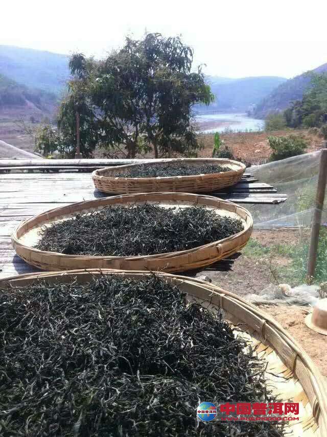 普洱茶