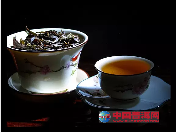 普洱茶