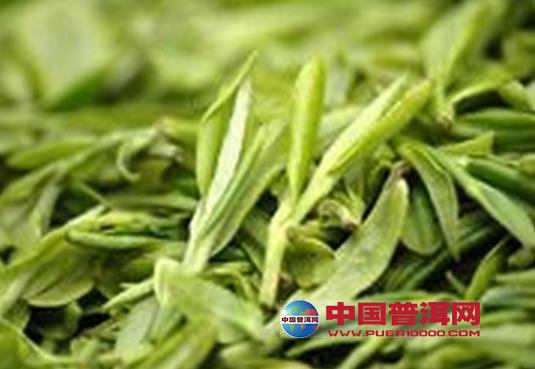 普洱茶