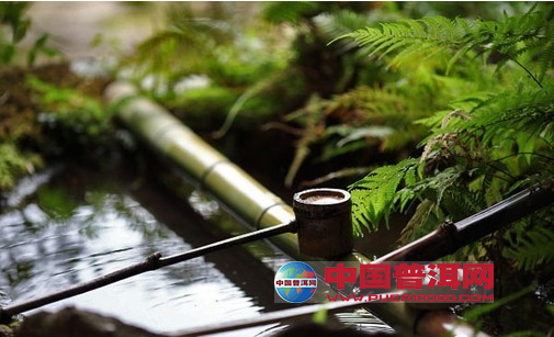 <u><a href='http://www.puer10000.com/puerzhishi/32854.html' target='_blank'>普洱<u><a href='http://www.puer10000.com/puerzhishi/100997.html' target='_blank'>茶</a></u></a></u>