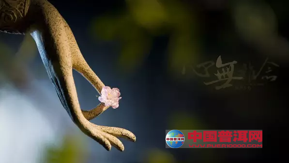 普洱茶