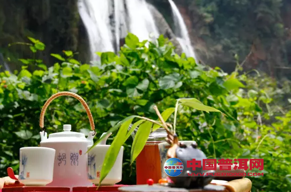 <u><a href='http://www.puer10000.com/puerzhishi/32854.html' target='_blank'>普洱<u><a href='http://www.puer10000.com/puerzhishi/100997.html' target='_blank'>茶</a></u></a></u>