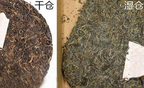 普洱茶