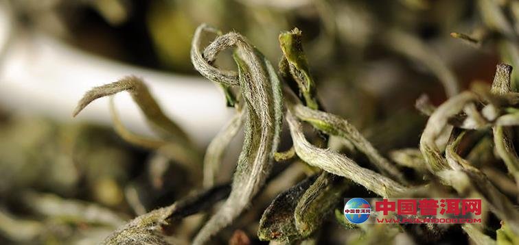 普洱茶