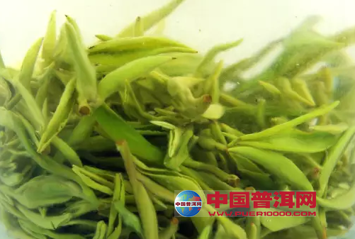 <u><a href='http://www.puer10000.com/puerzhishi/32854.html' target='_blank'>普洱<u><a href='http://www.puer10000.com/puerzhishi/100997.html' target='_blank'>茶</a></u></a></u>