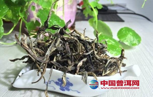 普洱茶