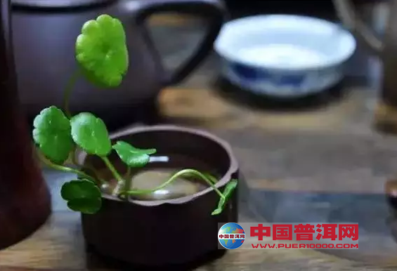 <u><a href='http://www.puer10000.com/puerzhishi/32854.html' target='_blank'>普洱<u><a href='http://www.puer10000.com/puerzhishi/100997.html' target='_blank'>茶</a></u></a></u>
