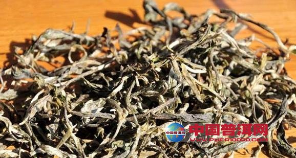 普洱茶