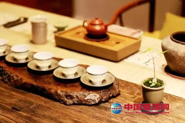 普洱茶