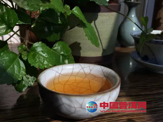 普洱茶