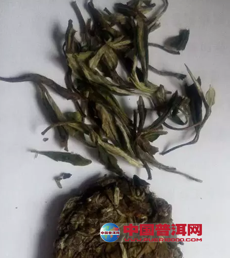 <u><a href='http://www.puer10000.com/puerzhishi/32854.html' target='_blank'>ն</a></u>