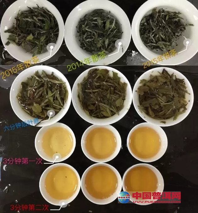 <u><a href='http://www.puer10000.com/puerzhishi/32854.html' target='_blank'>ն</a></u>