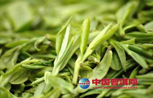 普洱茶