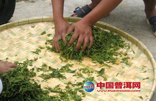 普洱茶