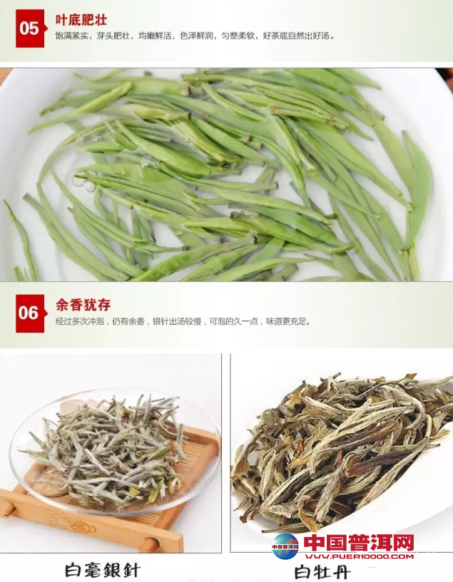 <u><a href='http://www.puer10000.com/puerzhishi/32854.html' target='_blank'>ն</a></u>
