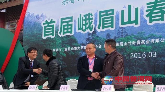 普洱茶