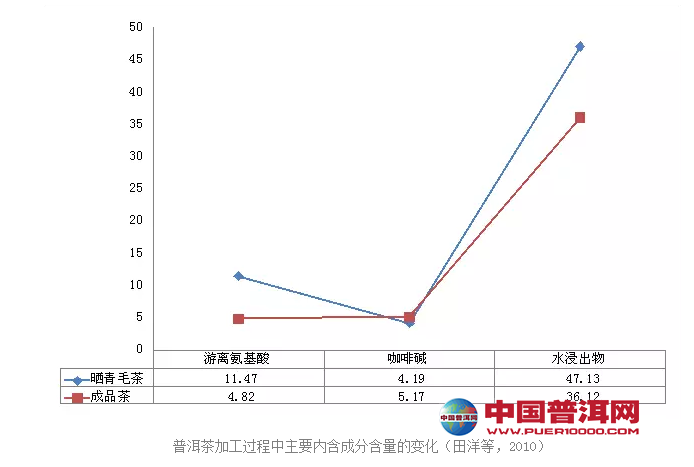 普洱茶