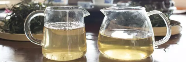 普洱茶