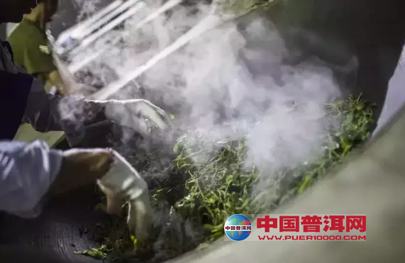普洱茶