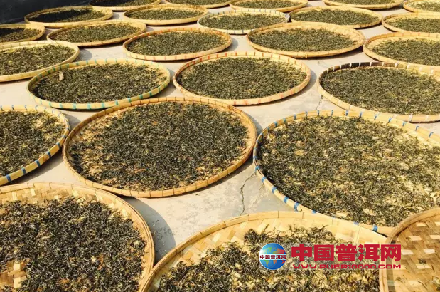 普洱茶