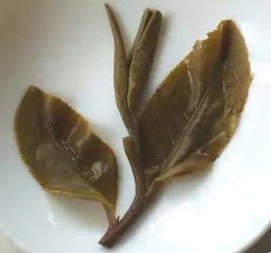 普洱茶