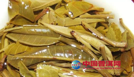 普洱茶