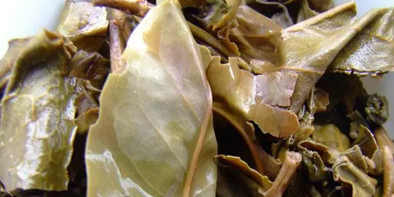 普洱茶