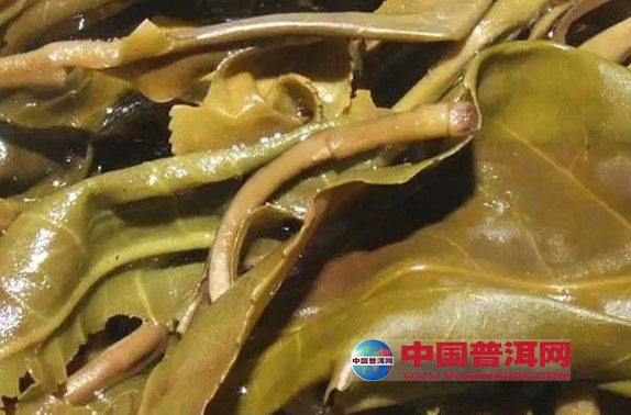 普洱茶