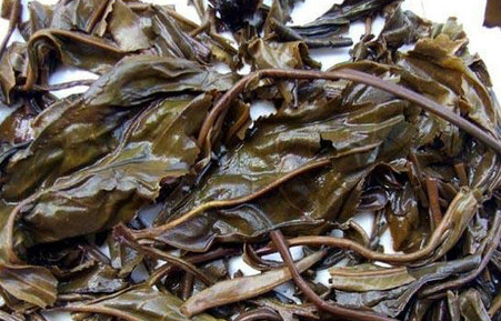 普洱茶