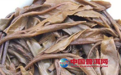 普洱茶