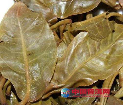 普洱茶