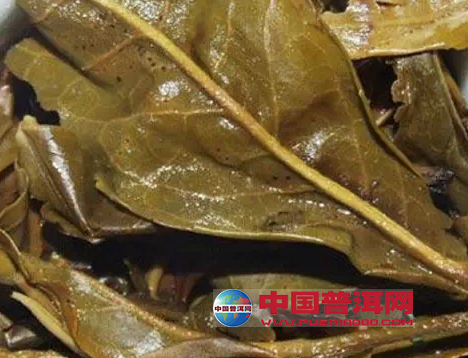 普洱茶