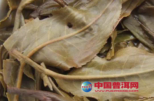普洱茶