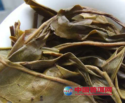 普洱茶