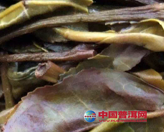 普洱茶