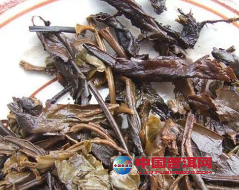 普洱茶