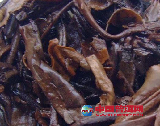 普洱茶
