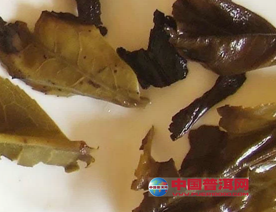 普洱茶