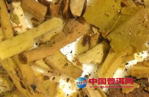 普洱茶