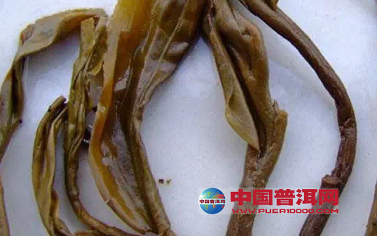 普洱茶