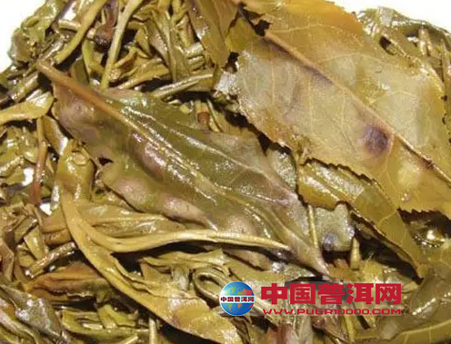 普洱茶