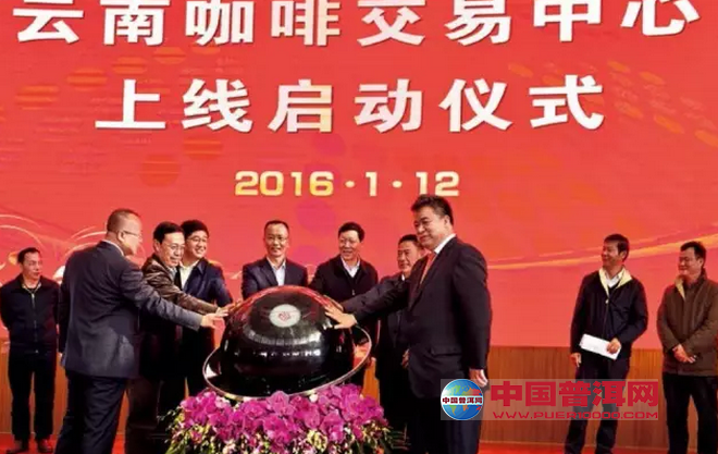 普洱茶