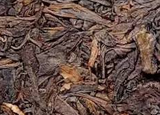 普洱茶