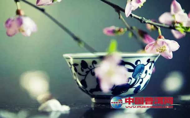 普洱茶