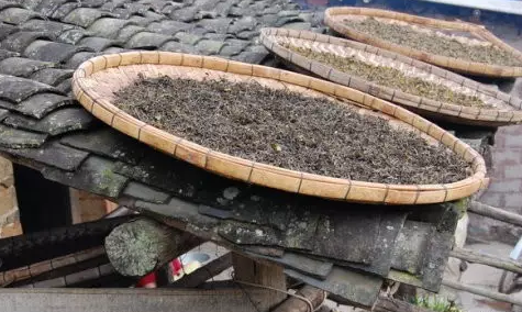 普洱茶